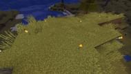 Spawn proofing areas by lighting it up (Image via Mojang)
